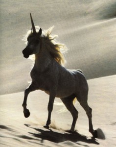 unicorn