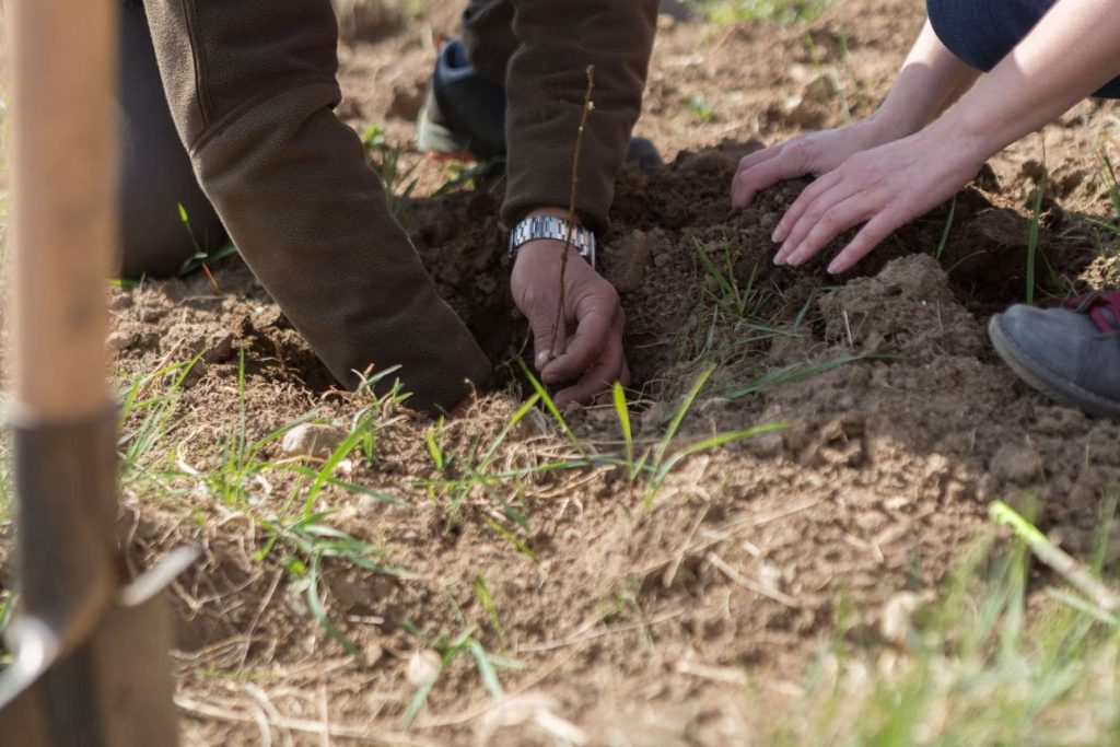 Zalesiavame_aktivno_09.05