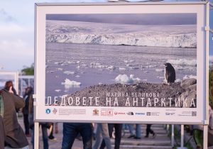Kaufland Antarctica exhibition-4
