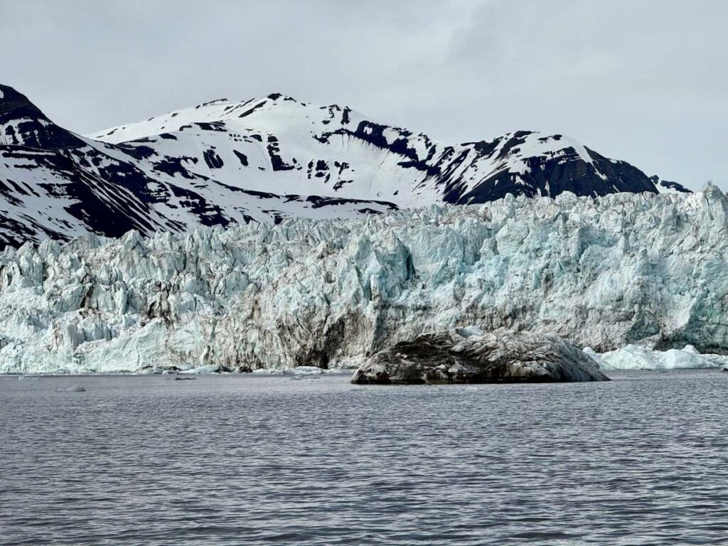 Arctic