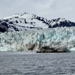 Arctic