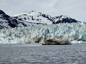 Arctic