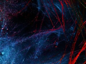 Merlinlightpainting abstract 6047465